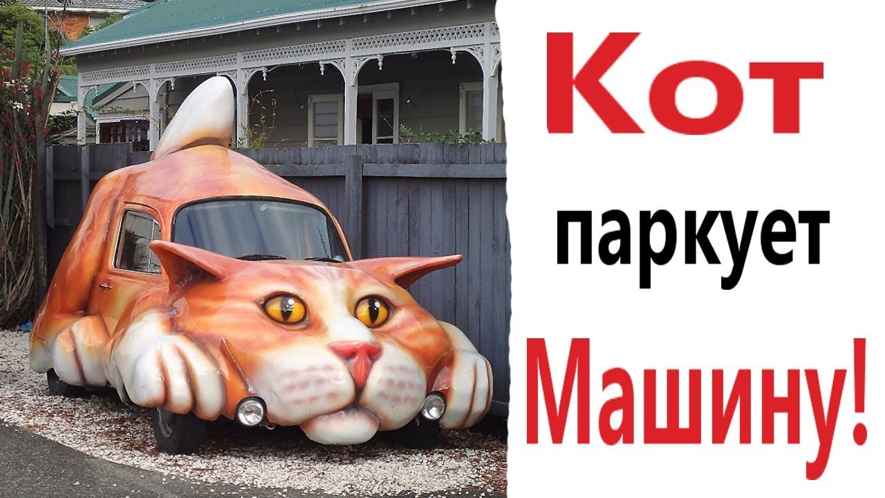 Доми шоу кот мурзик и хозяин картинки