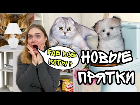 Ляпота ТВ - 24 ЧАСА ИГРАЕМ В ПРЯТКИ С КОТАМИ В НАШЕМ ДОМЕ - Видео для детей