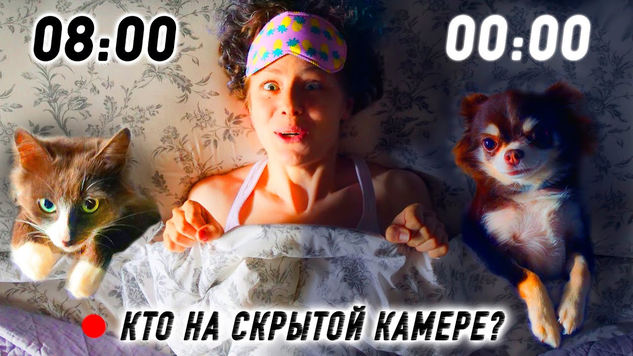 Порше фэмили официальный