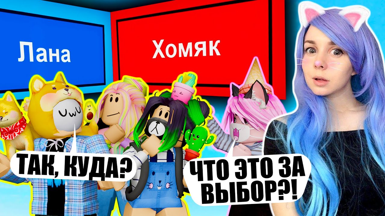 Сделай правильный выбор за 15 секунд roblox