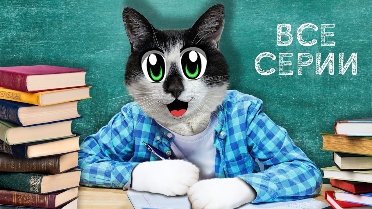 Анука Давайка - ШКОЛА КОТОВ : ВСЕ СЕРИИ ПОДРЯД! МАЛЕНЬКАЯ КОШЕЧКА МУРКА ...